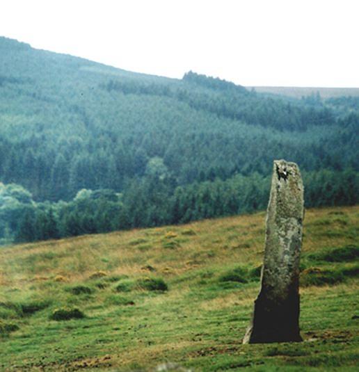 Standing Photograph - Standing Stone by Alasdair Shaw