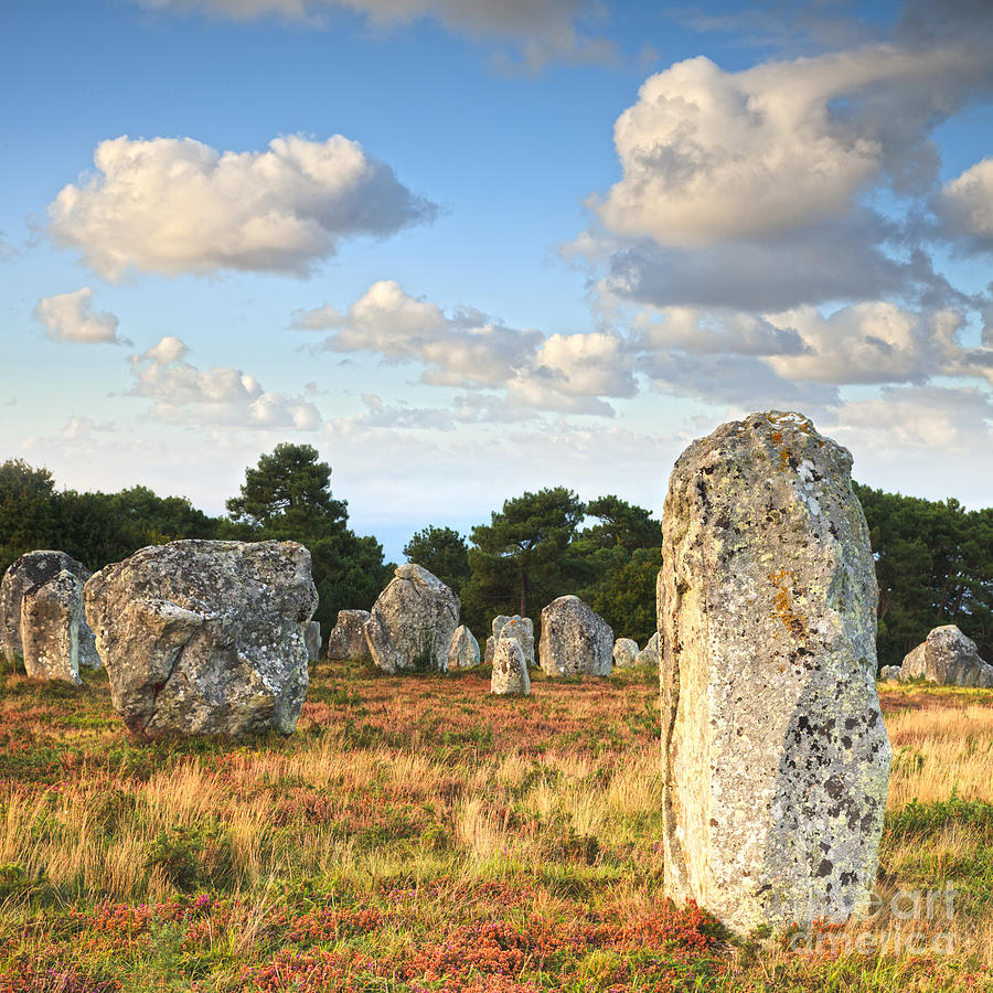 Standing Stones Carnac Brittany Photograph by Colin and Linda McKie