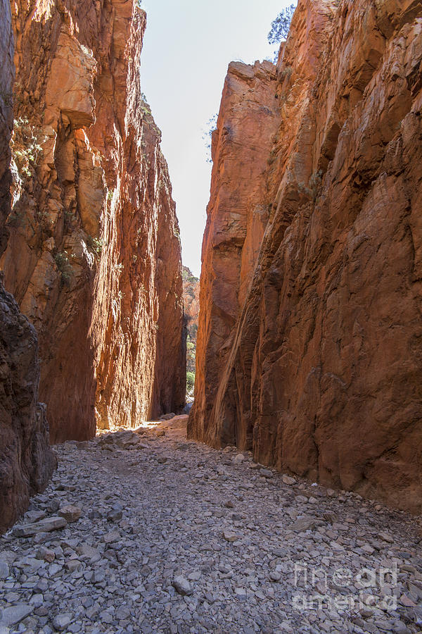 Standley Chasm NT Photograph by Linda Lees