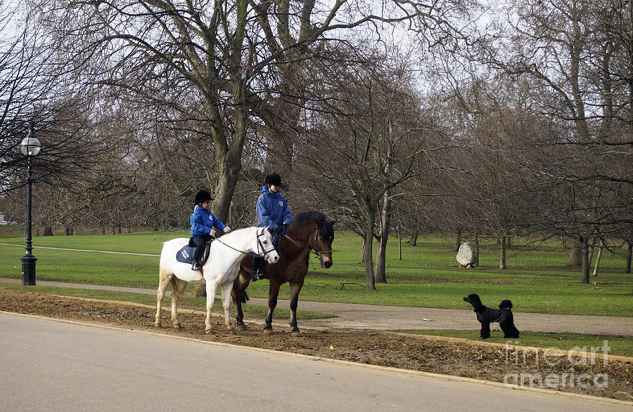 Standoff in Hyde Park   Photograph by Nancy Clendaniel