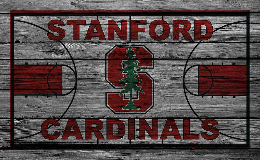 Stanford Cardinals Photograph by Joe Hamilton | Fine Art America