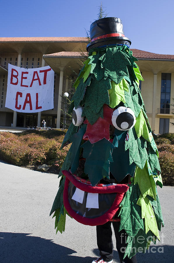 Stanford Tree Mascot Beat Cal Photograph by Jason O Watson