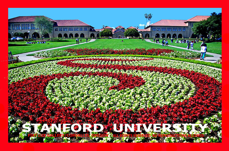 Stanford University III Photograph by Michael Moore