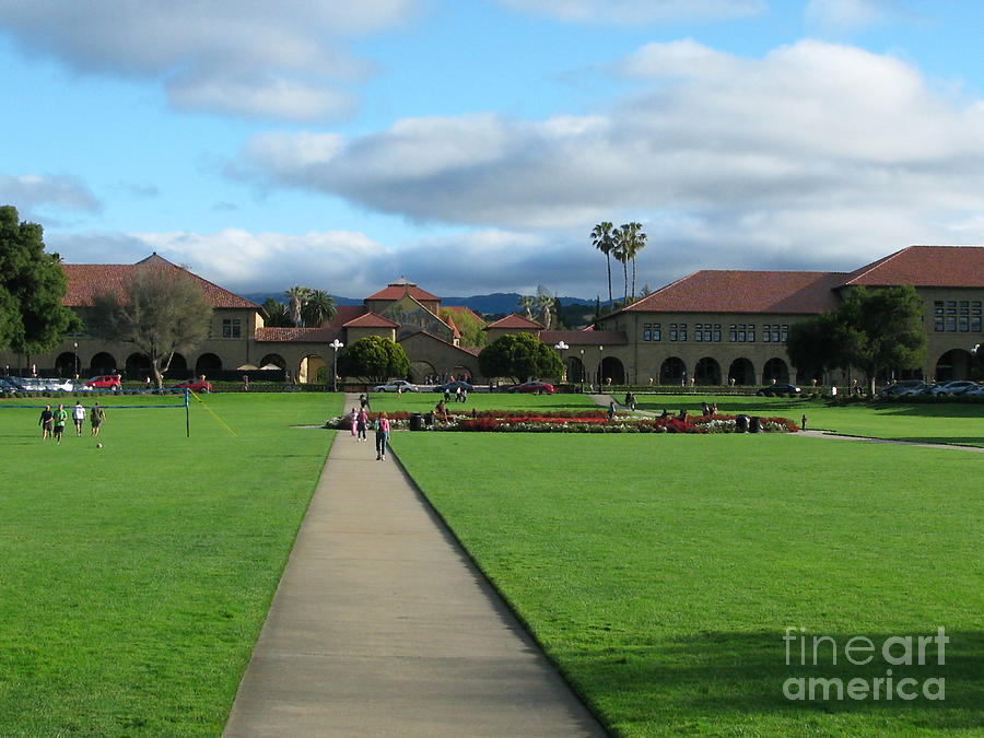 Stanford University Photograph by Mini Arora