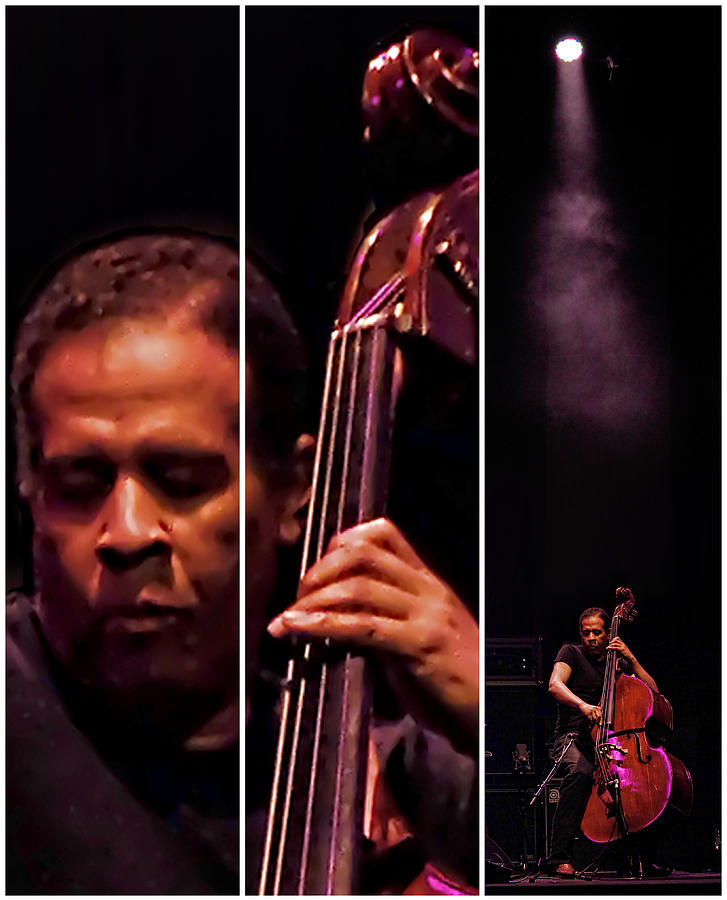 Stanley Clarke Photograph by Andrei SKY