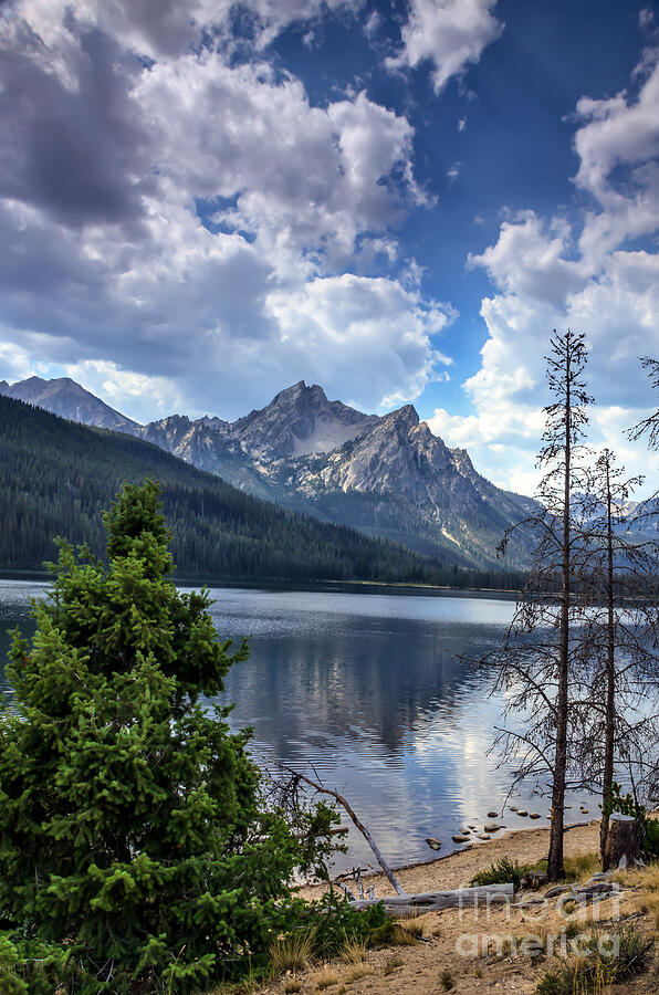 Stanley Lake View Photograph by Robert Bales