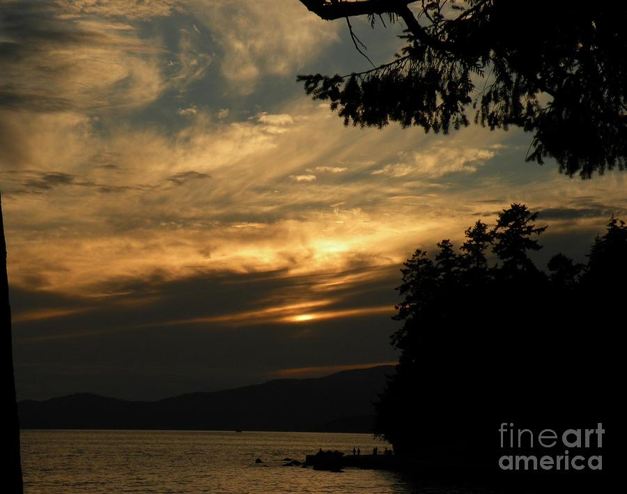 Stanley Park - Second Beach 1 Photograph by Nancy Taylor Major | Fine ...