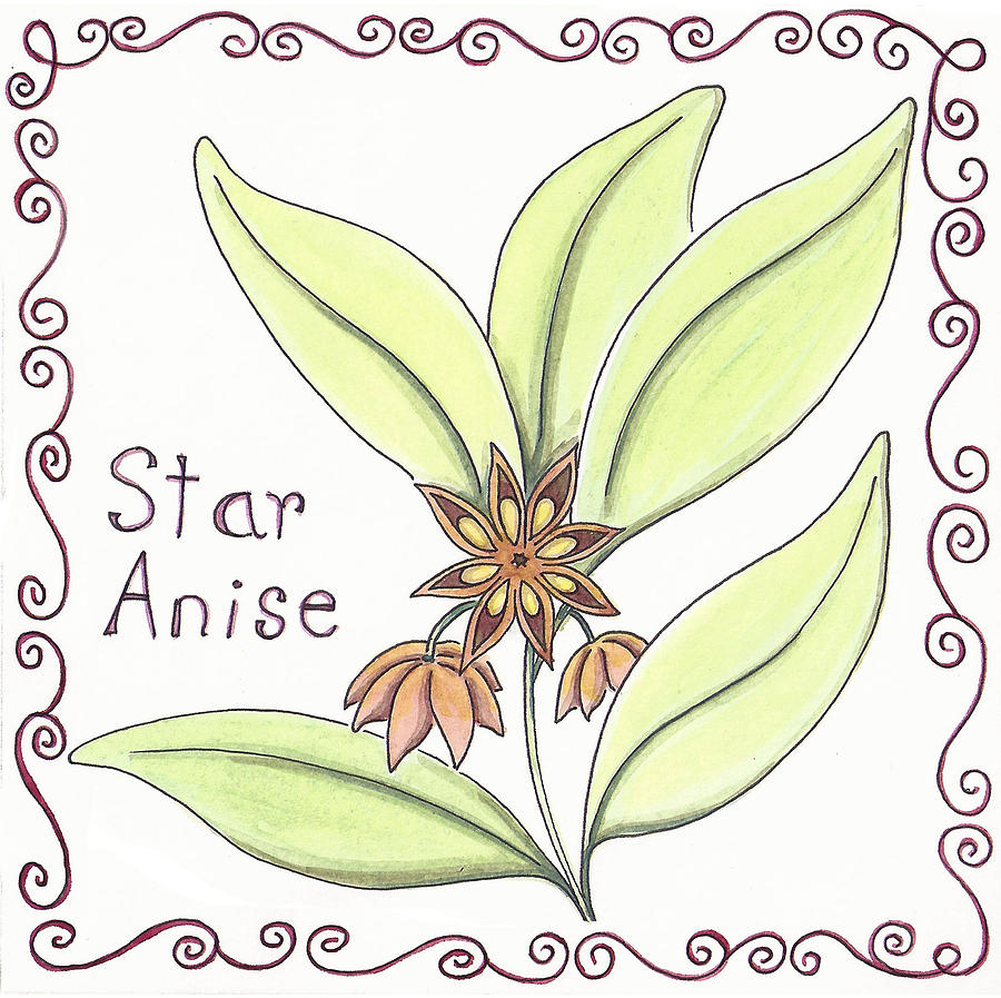Garden Painting - Star Anise by Christy Beckwith