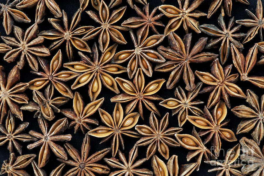 Star Anise Pattern Photograph by Tim Gainey