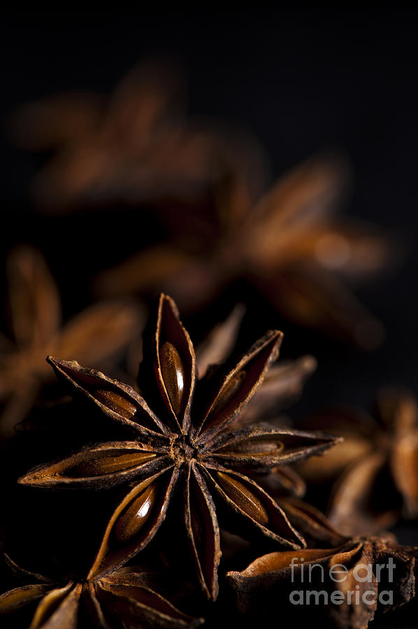 Up Movie Photograph - Star Anise Study by Anne Gilbert