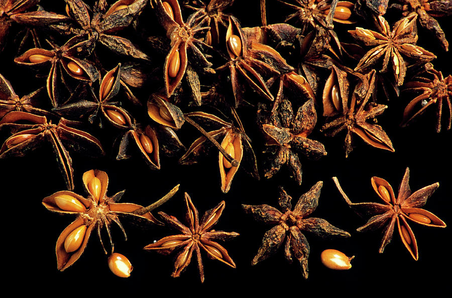 Star Anise Photograph by Th Foto-werbung/science Photo Library