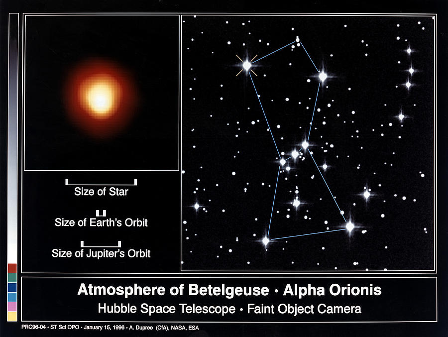 Star: Betelgeuse, 1995 Photograph by Granger