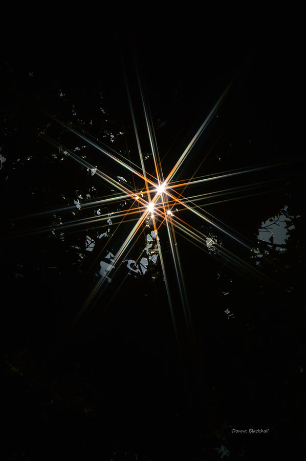 Star Bright Photograph by Donna Blackhall