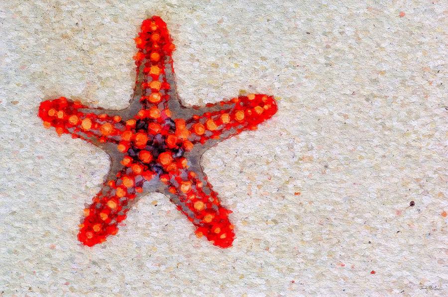 Star Bright - Red Knobbed Starfish Painting by Sandy MacGowan