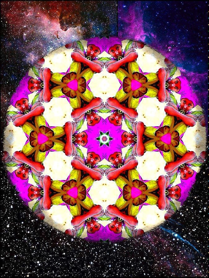 Star Child Mandala Digital Art by Karen Buford