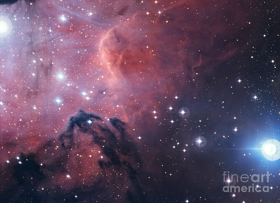 Star Formation Region Gum 15 Photograph by ESO/Science Source