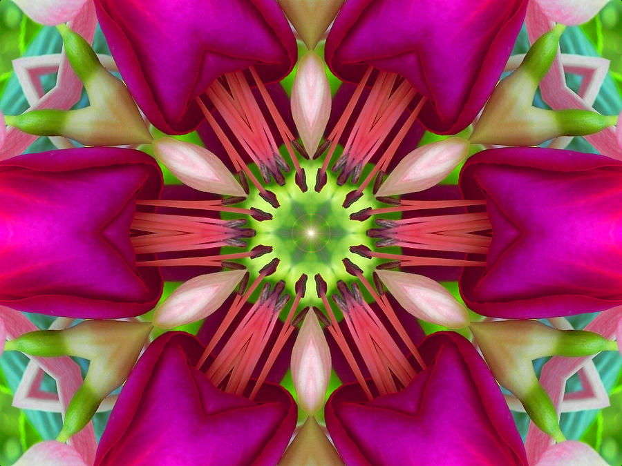 Star Fuchsia 3 Mandala Digital Art by Diane Lynn Hix