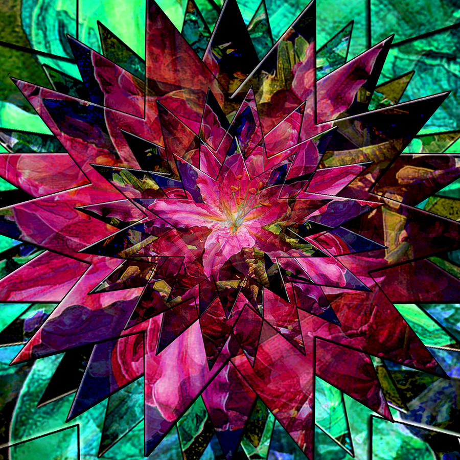 Star Gazer Lily Burst Digital Art by Michele Avanti