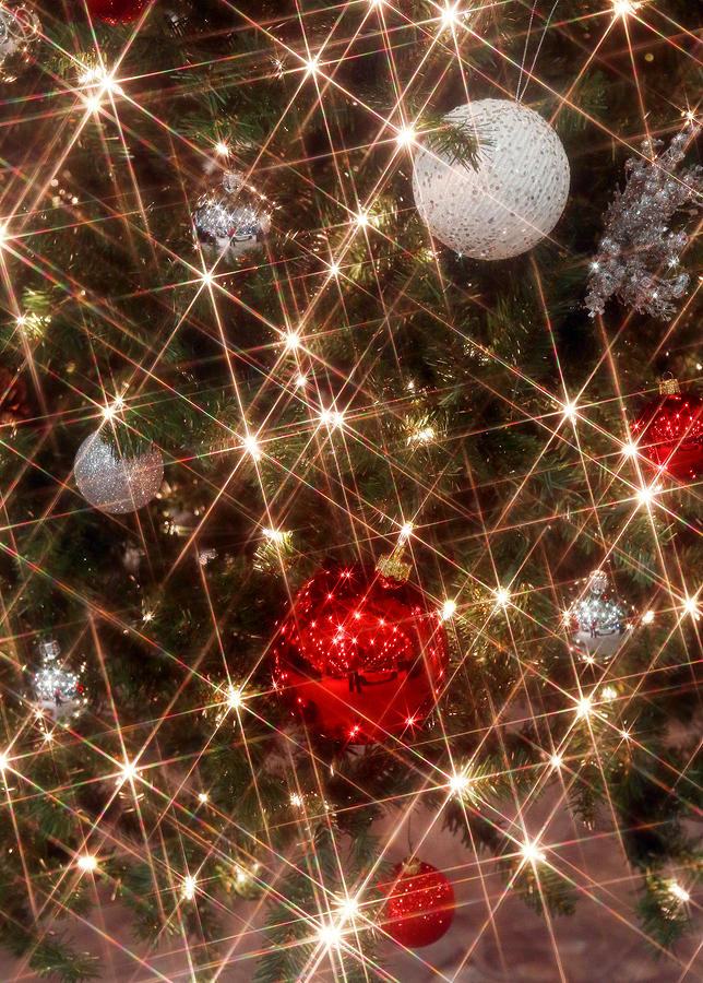Christmas Photograph - Star Lights at Christmas by Linda Phelps
