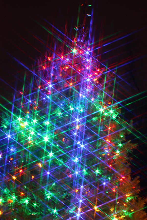 Star Like Christmas Lights Photograph by Patrice Zinck