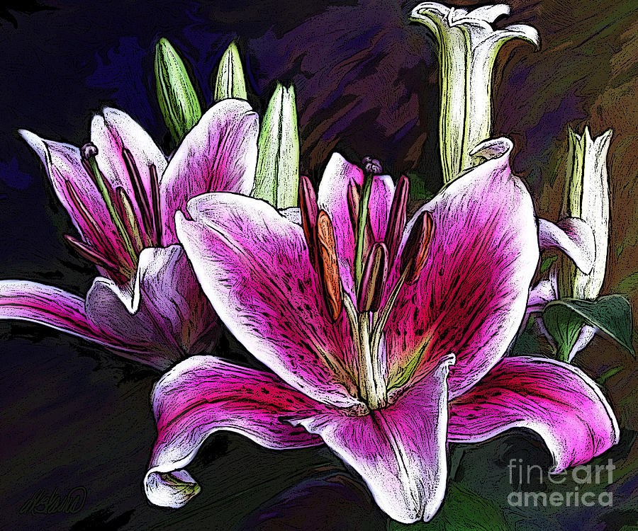 Flower Digital Art - Star Lilies by Dorinda K Skains