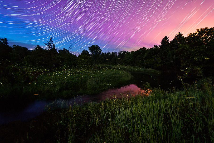 Star Lines and Fireflies Photograph by Matt Molloy