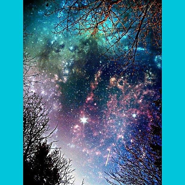 Camera Photograph - Star Lovers Dream by Katie Phillips