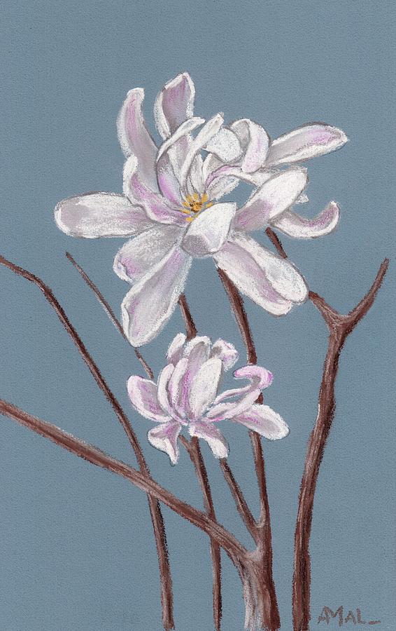 Star Magnolia  Painting by Anastasiya Malakhova