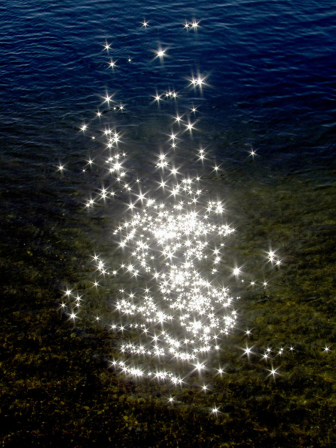 Star Reflection in the Water Photograph by Bob Slitzan
