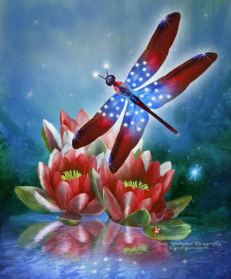 Star Spangled Dragonfly Mixed Media by Carol Cavalaris