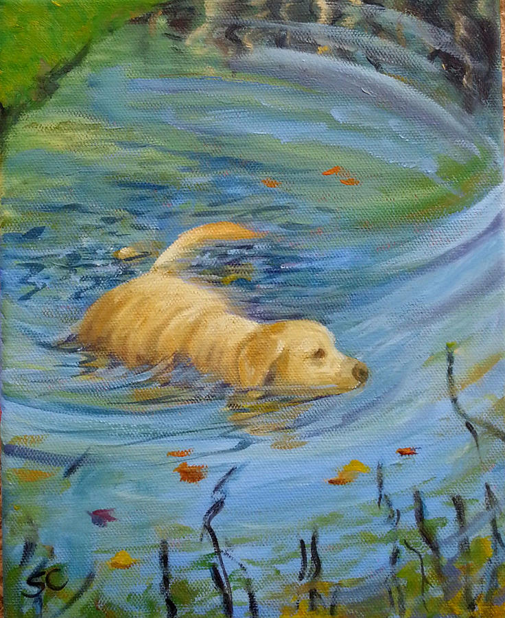 Star Swimming Painting by Sharon Casavant