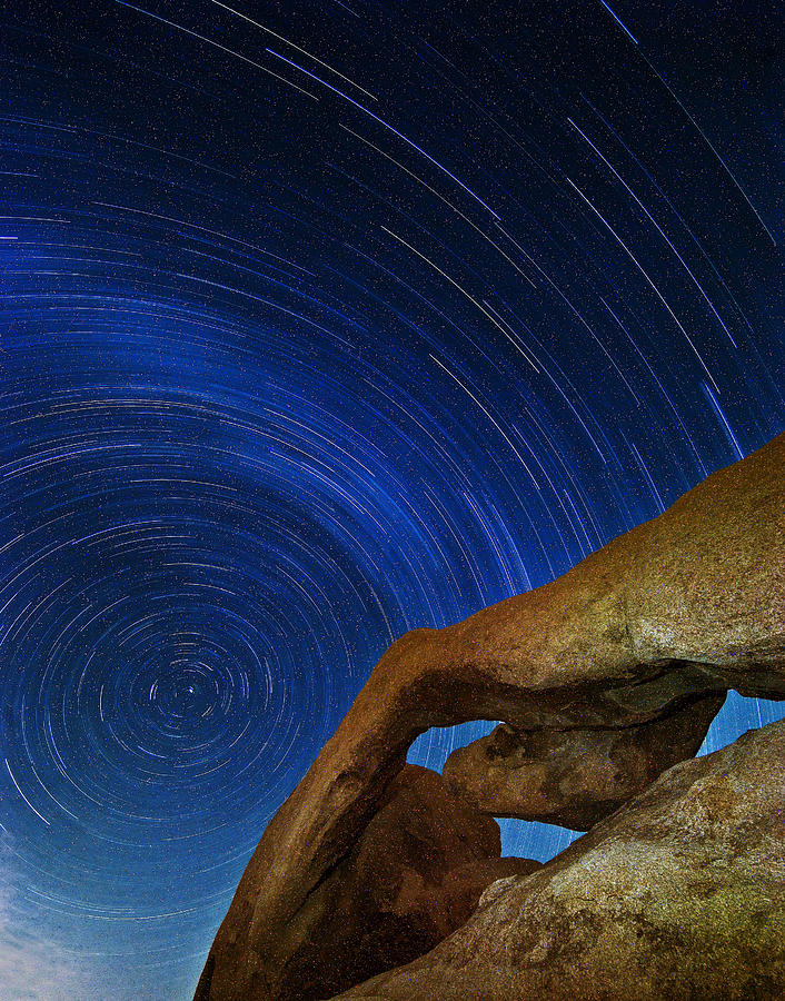 Star Trail Over Joshua Tree Photograph by Ann Nguyen - Fine Art America