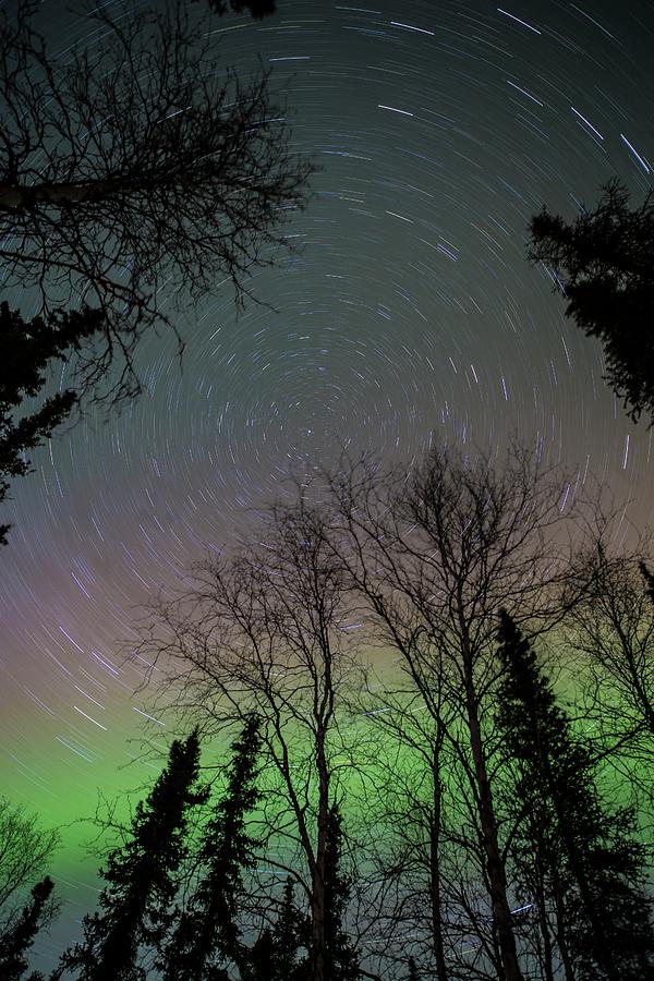Star Trails And Aurora Over Trees Photograph by Chris Madeley
