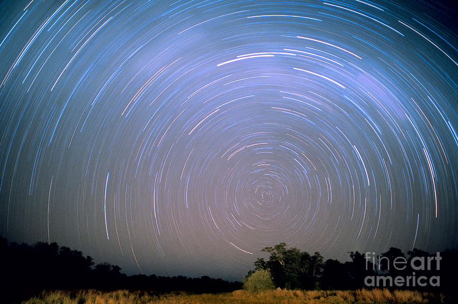 Star Trails Photograph by Gregory G. Dimijian, M.D.