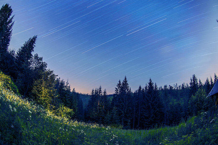 Star trails Photograph by Jaroslaw Grudzinski