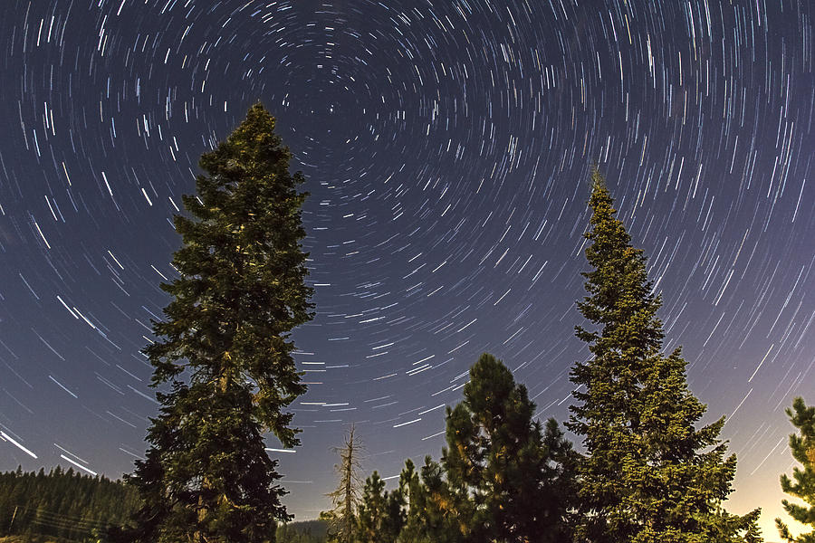 Star Trails Photograph by Lee Harland