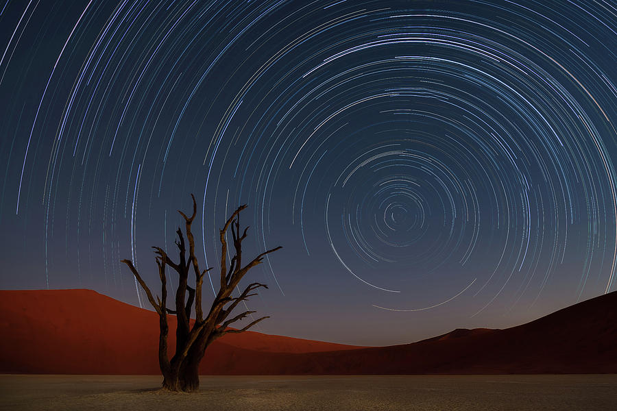 Tree Photograph - Star Trails Of Namibia by Karen Deakin