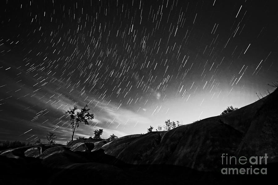 Star Trails and Trees Mono Photograph by Charline Xia