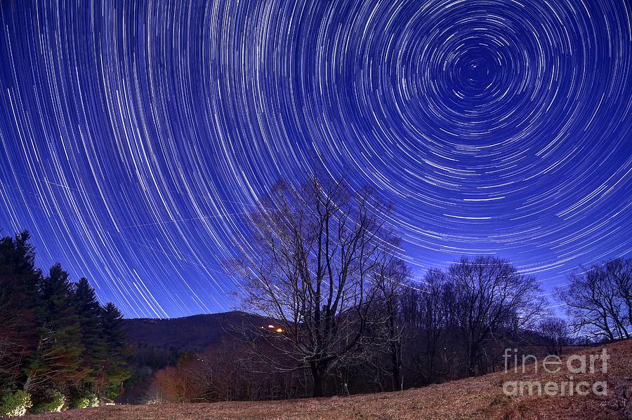Star Tree Hill Photograph by Robert Loe