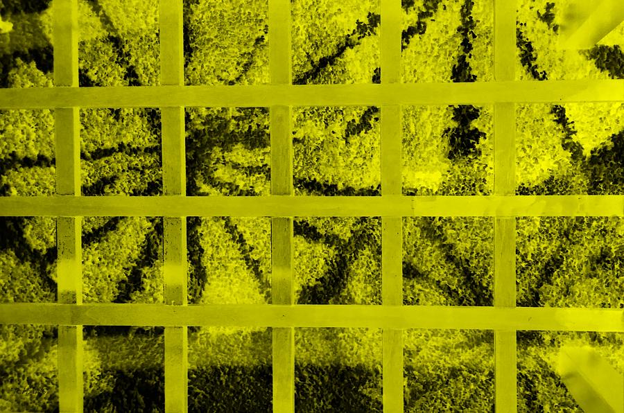 Abstract Photograph - Starbox Neg Yellow by Rob Hans