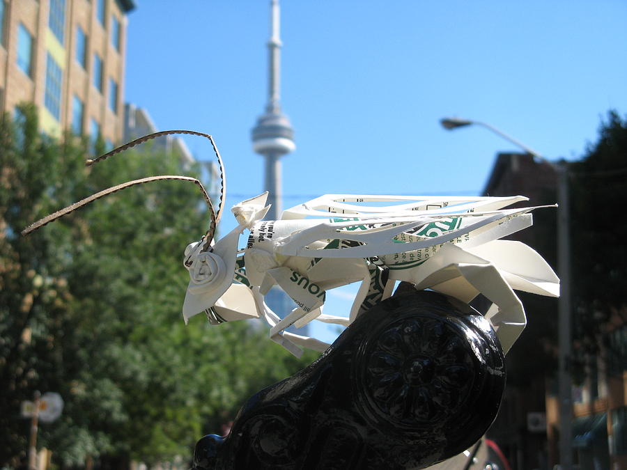 Starbucks coffee cup grasshopper Sculpture by Alfred Ng