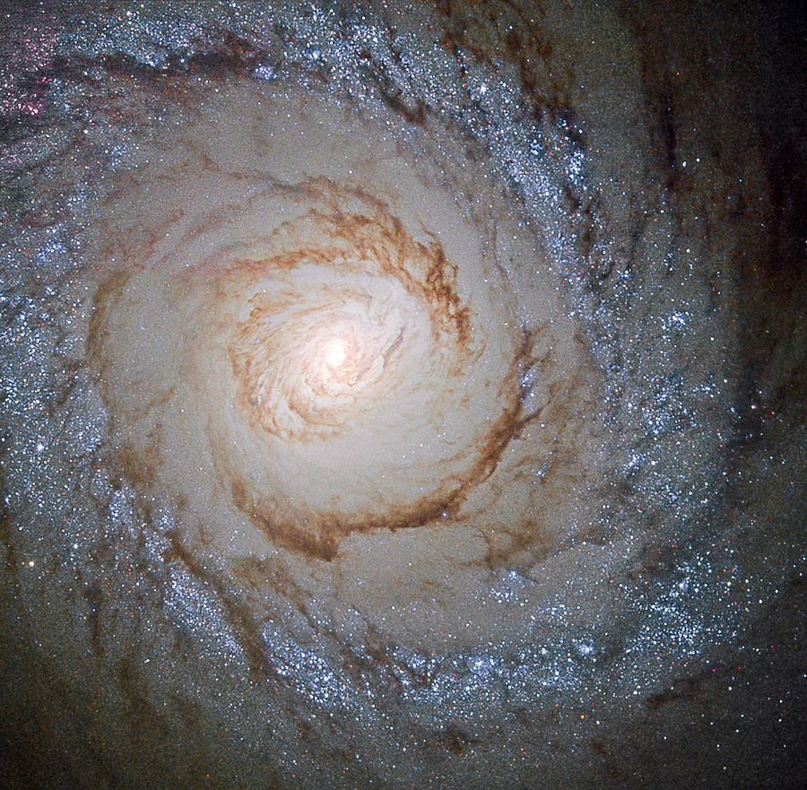 Starburst Galaxy Messier 94 Photograph by Science Source