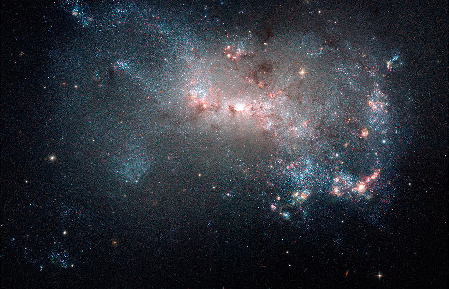 Space Photograph - Starburst in NGC 4449 by Space Art Pictures