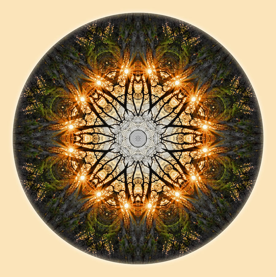 Starburst Through the Trees Mandala Digital Art by Beth Sawickie