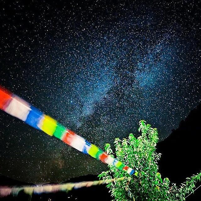 Nature Photograph - Stardust by Raimond Klavins