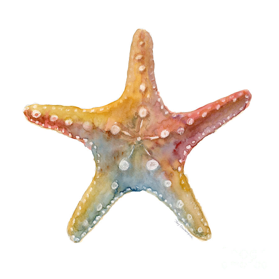 Shell Painting - Starfish by Amy Kirkpatrick