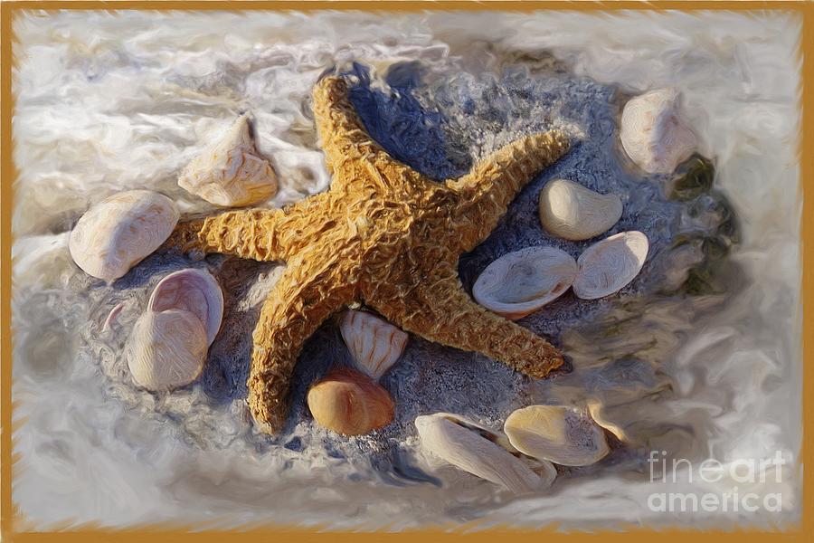 Gold Photograph - Starfish And Seashells by Richard Nickson Gold Photograph - Starfish And Seashells by Richard Nickson