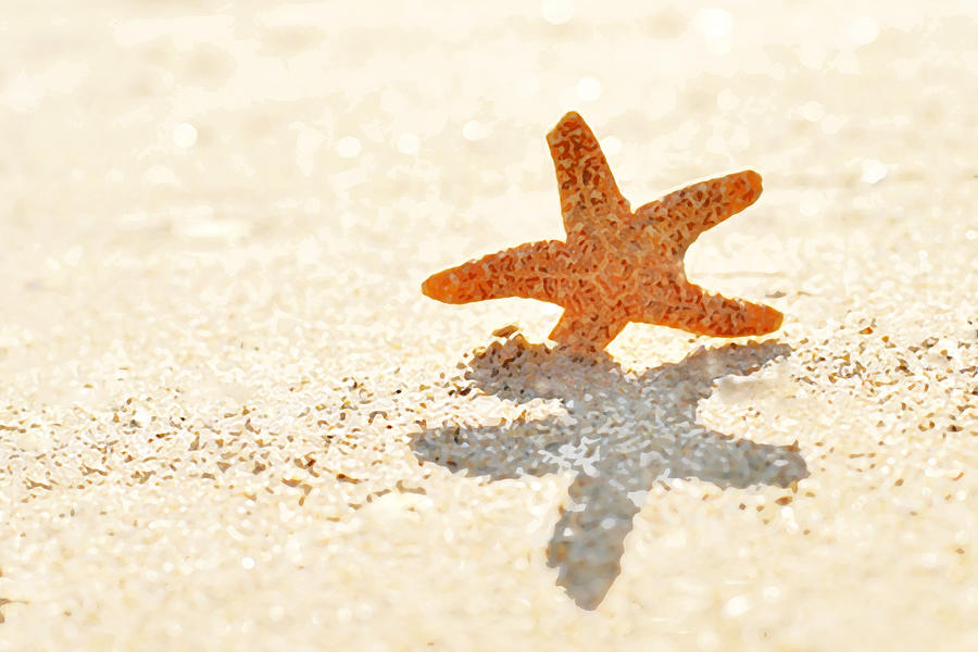 Starfish Photograph by Art Block Collections
