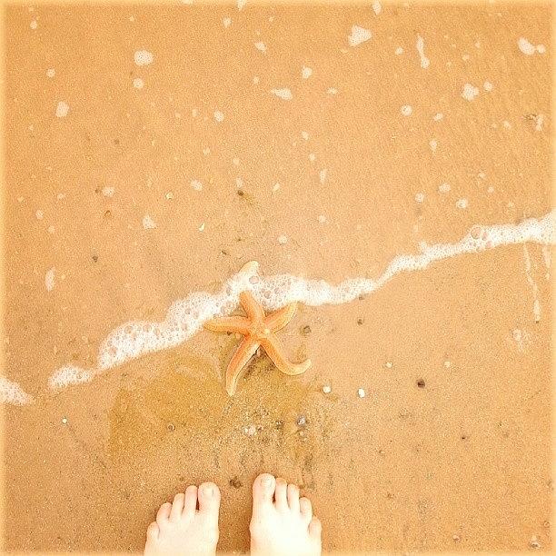 Summer Photograph - #starfish #beach #sand #sandy by Linandara Linandara
