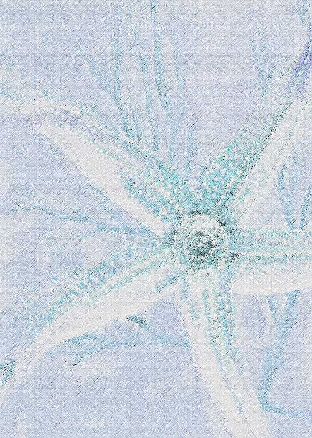 Starfish- Blue And Sand Digital Art by Jane Schnetlage